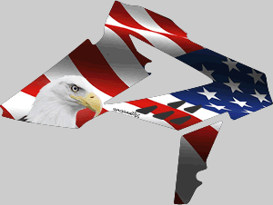 Beta USA Eagle graphics